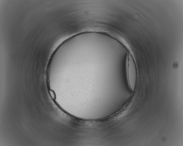 X0000091880803200710031740