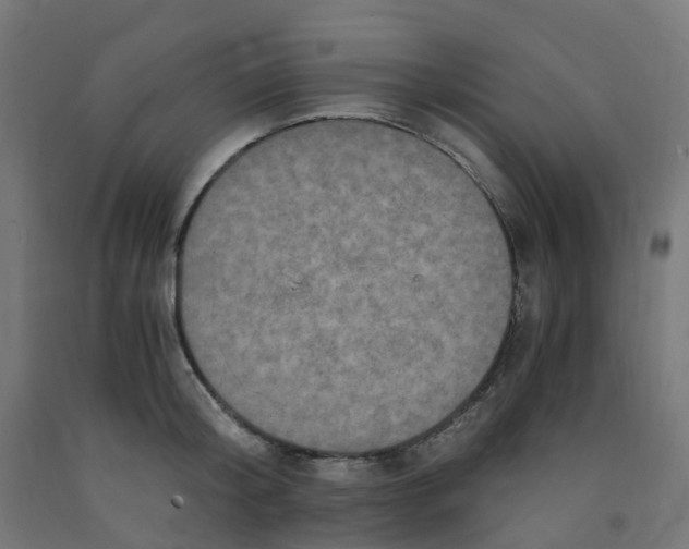 X0000091880804200710031740