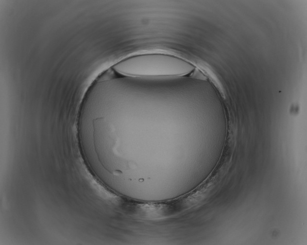 X0000091880805200710031740