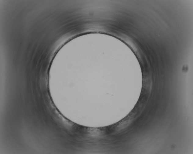 X0000091880807200710031740