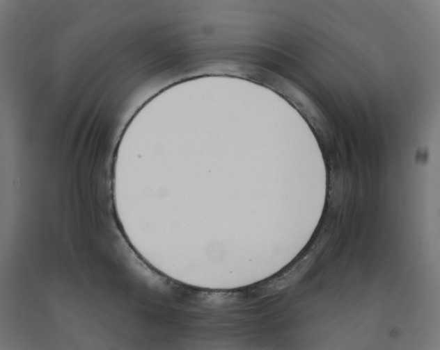 X0000091880808200710031740