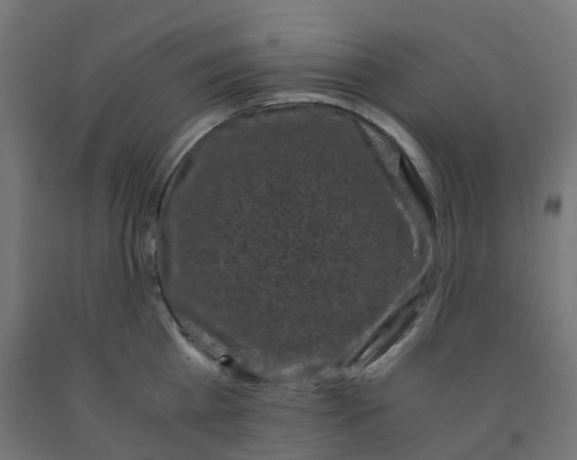 X0000091880809200710031740