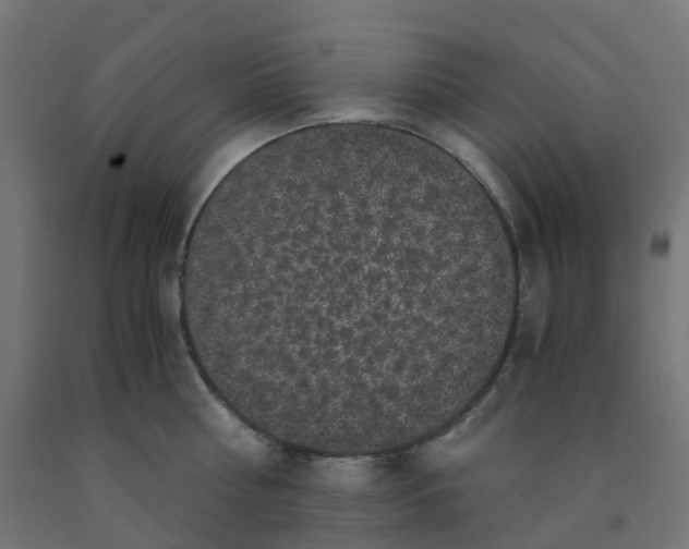 X0000091880810200710031740