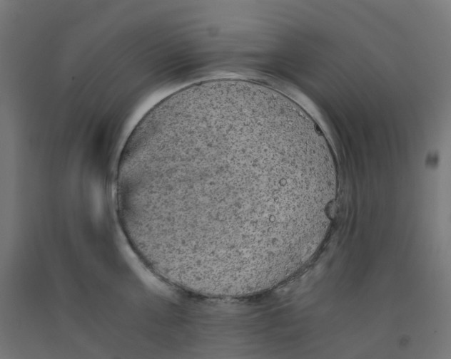 X0000091880811200710031740