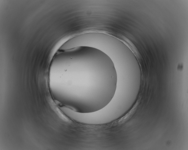 X0000091880812200710031740