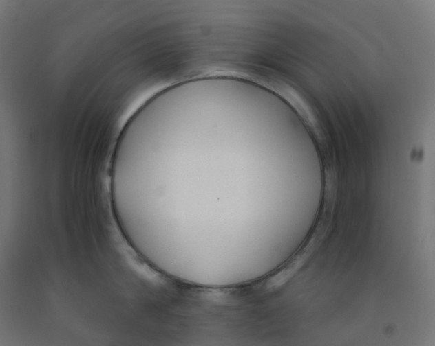 X0000091880814200710031740