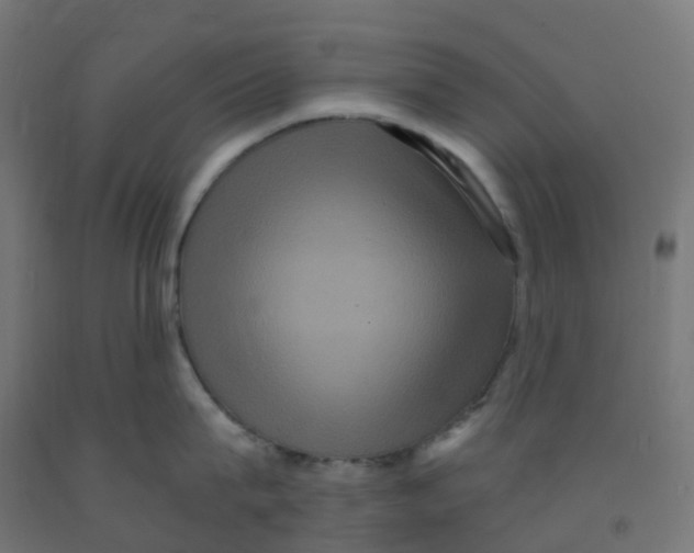 X0000091880815200710031740