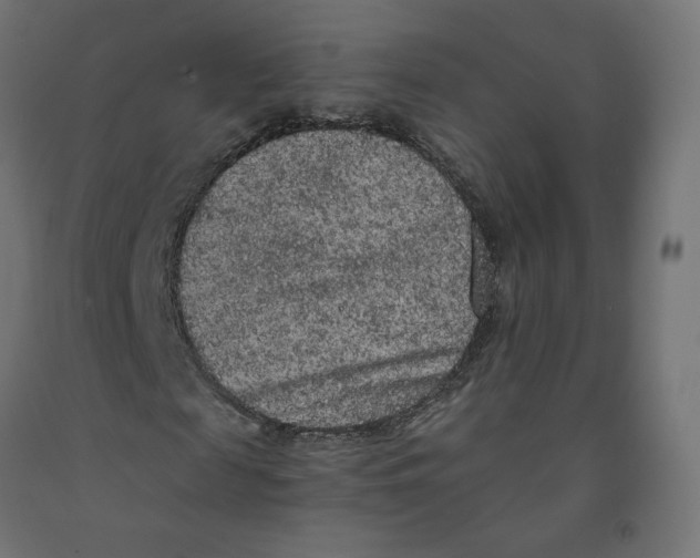 X0000091880817200710031739