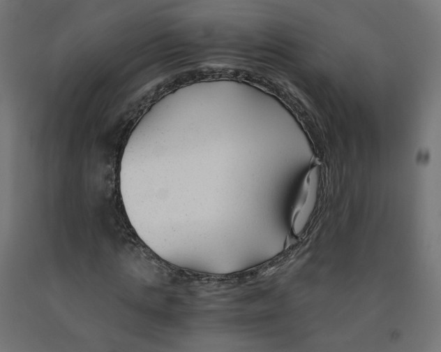 X0000091880821200710031739