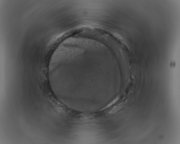 X0000091880822200710031739