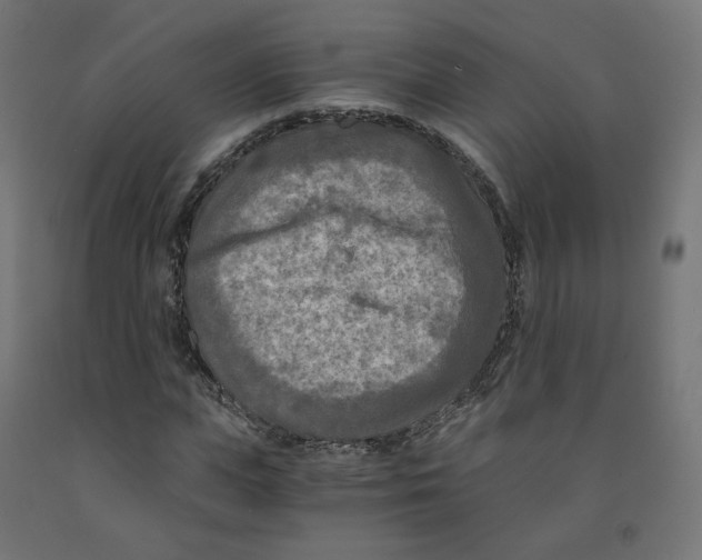 X0000091880823200710031739