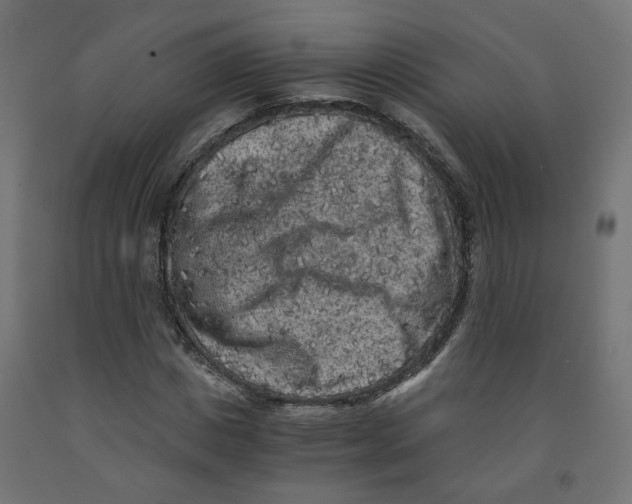 X0000091880825200710031739