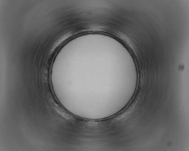 X0000091880827200710031739