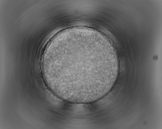 X0000091880828200710031739