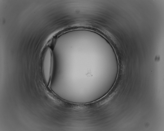 X0000091880830200710031739