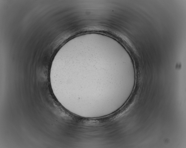 X0000091880833200710031739