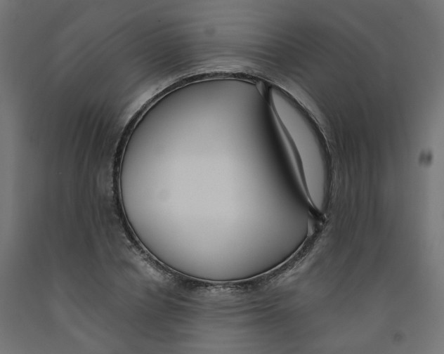 X0000091880834200710031740