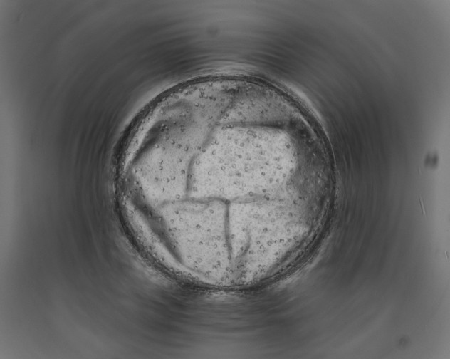 X0000091880835200710031740