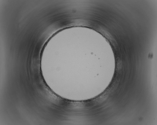 X0000091880836200710031740