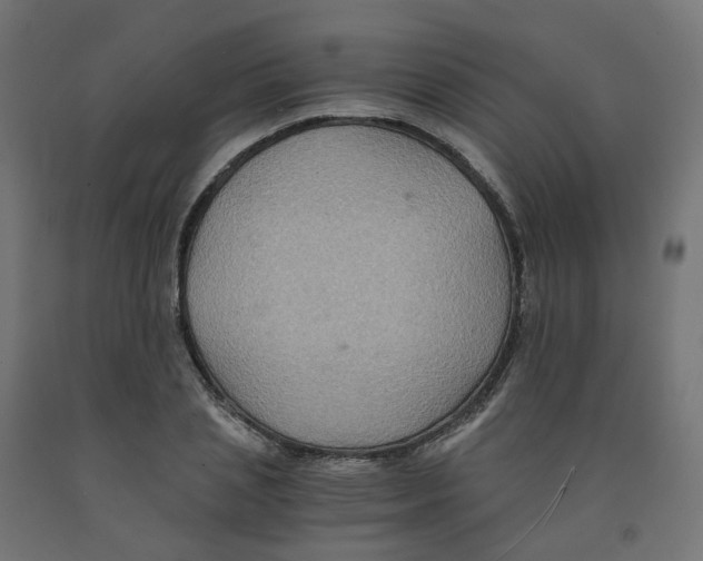 X0000091880837200710031740