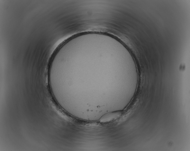 X0000091880838200710031740