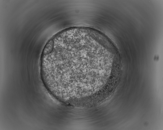 X0000091880840200710031740