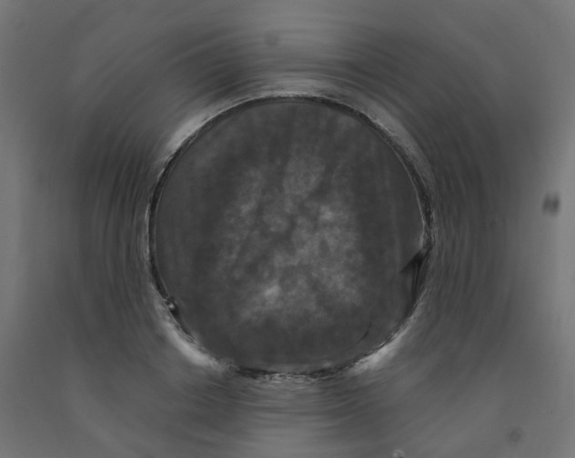 X0000091880842200710031740