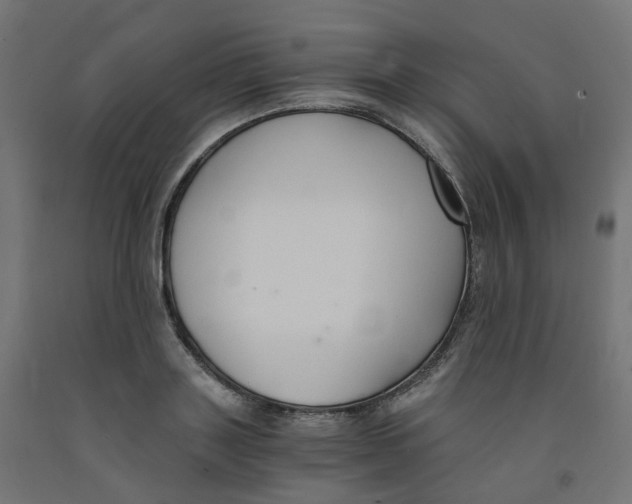 X0000091880843200710031740