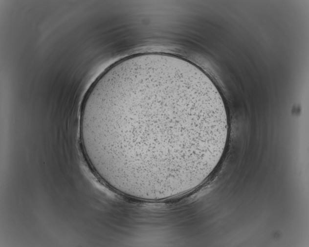 X0000091880844200710031740