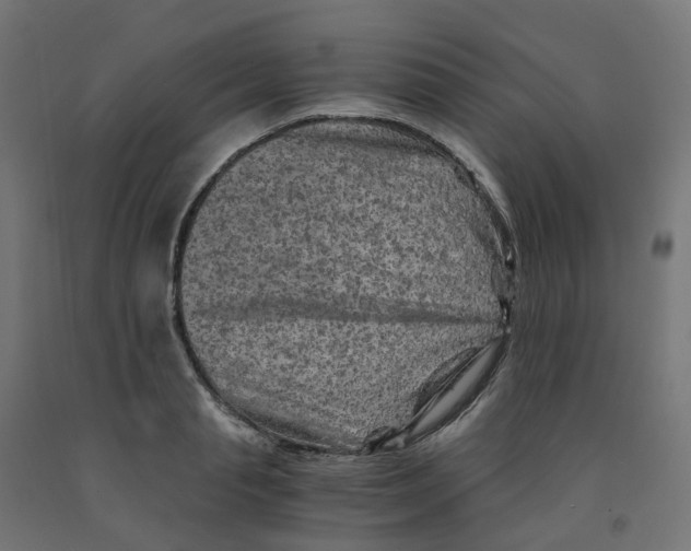 X0000091880845200710031740