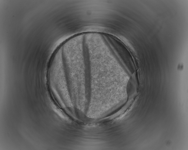 X0000091880846200710031740