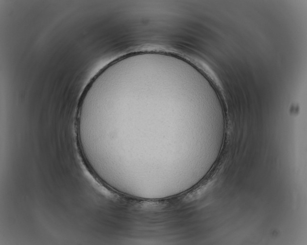 X0000091880847200710031740