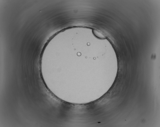 X0000091880848200710031740