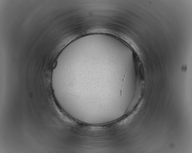 X0000091880849200710031740