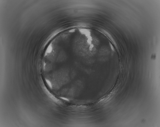 X0000091880851200710031740