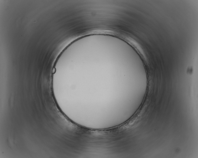 X0000091880852200710031740