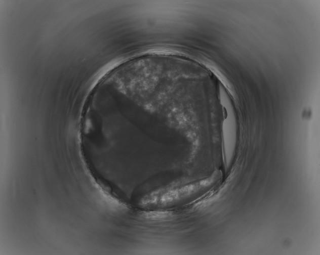 X0000091880853200710031740