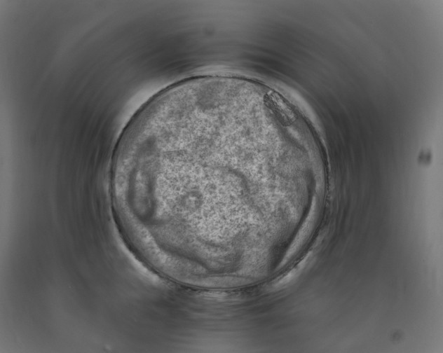 X0000091880855200710031740