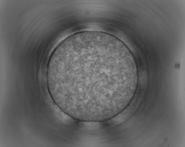 X0000091880856200710031740