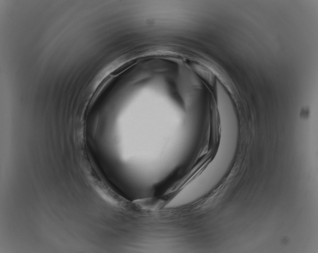 X0000091880858200710031740