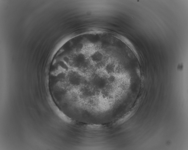 X0000091880859200710031740