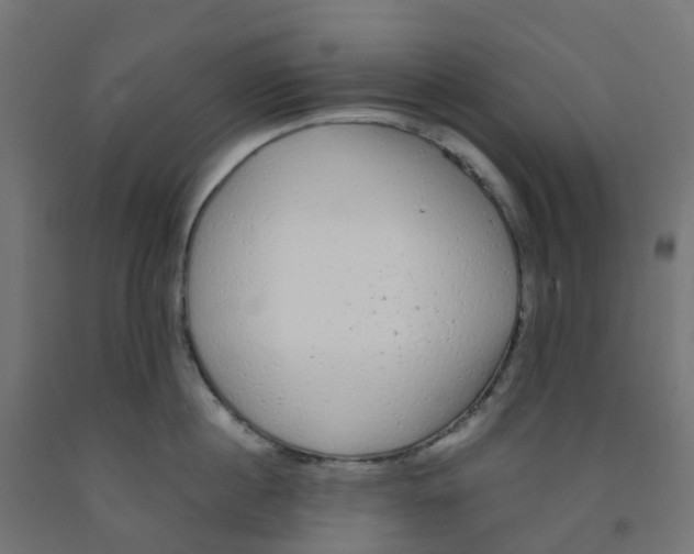 X0000091880860200710031740