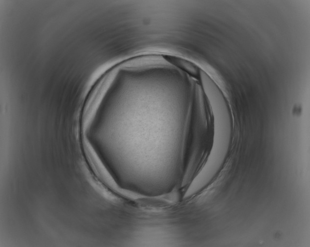 X0000091880862200710031740