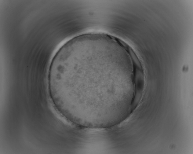 X0000091880864200710031740