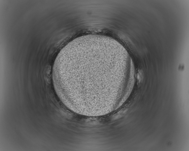 X0000091880867200710031739