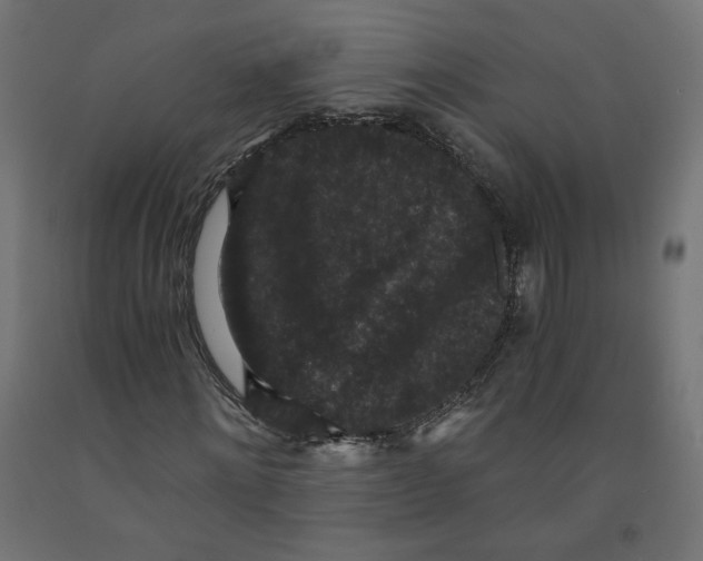 X0000091880868200710031739