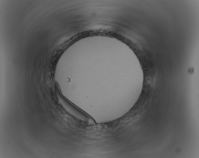 X0000091880869200710031739