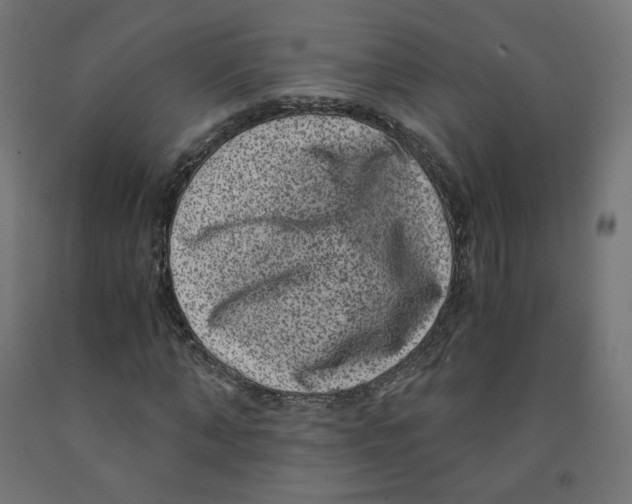 X0000091880870200710031739