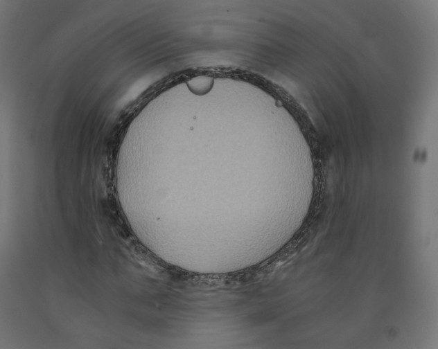 X0000091880871200710031739