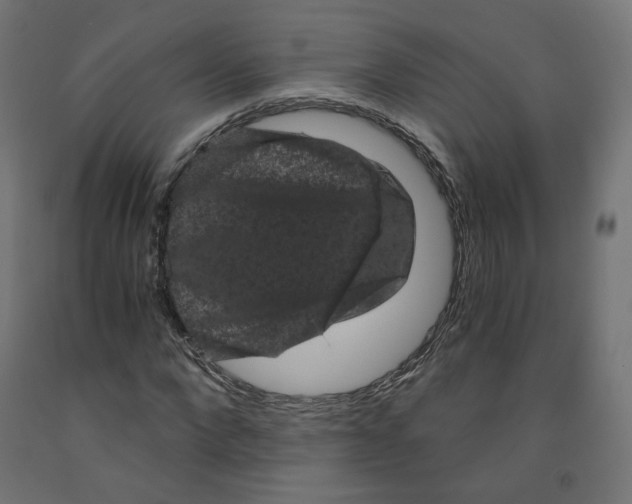 X0000091880872200710031739